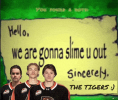 Medicine Hat Whl GIF