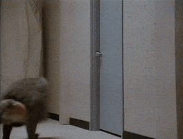 horror monkey GIF by Shudder