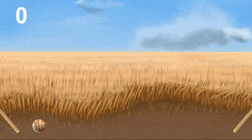 stewartimel  GIF