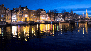 lights amsterdam GIF by Living Stills