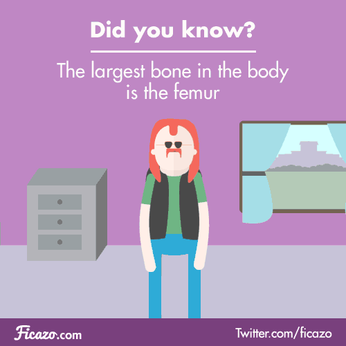Body Education GIF by Ficazo