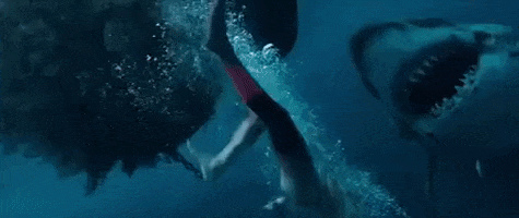 200.gif?cid=fc005b08fa1c7a47c4a68bbf724584edefb0681d18d8e1d8&rid=200.gif&ct=g