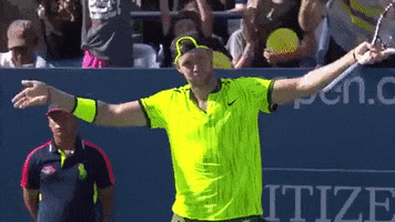 jack sock raise the roof GIF by US Open