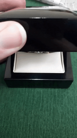 Marry Me GIF - Find & Share on GIPHY