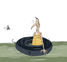 Dengue Febre Amarela GIF