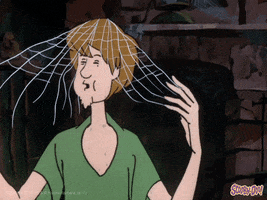 Spider Web Halloween GIF by Scooby-Doo