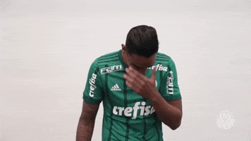 felicidade engraÃ§ado GIF by SE Palmeiras