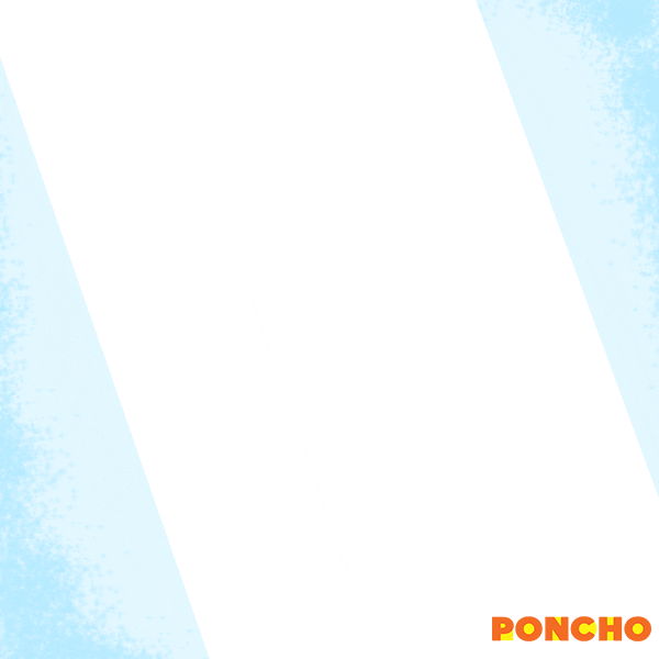 Olympic Games Cat GIF by Poncho