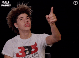 Lamelo Ball GIF by Ball in the Family