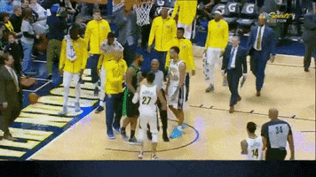 Boston Celtics Fighting GIF by NBC Sports Boston