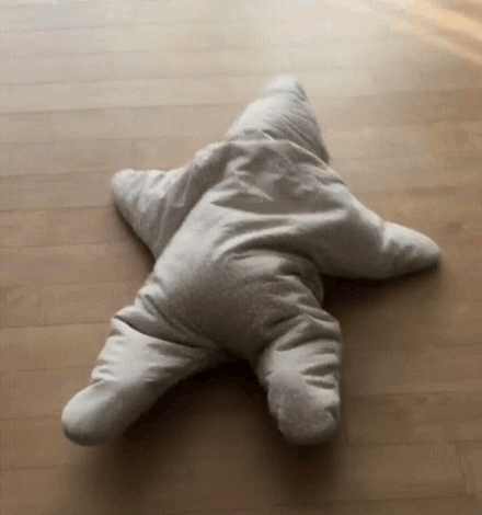 baby starfish outfit