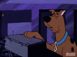 Halloween Cartoon GIF by Scooby-Doo