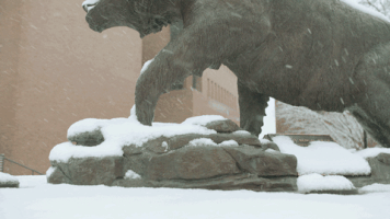 200.gif?cid=fc005b08f713a4895305be4dea10dab68b9faf8205ab11ba&rid=200.gif&ct=g