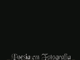 poesiaemfotografiadeby  GIF