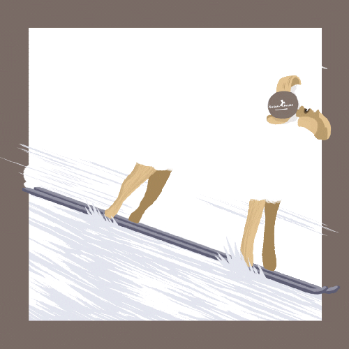 Snow Ski Sticker by Cheval Blanc Randheli