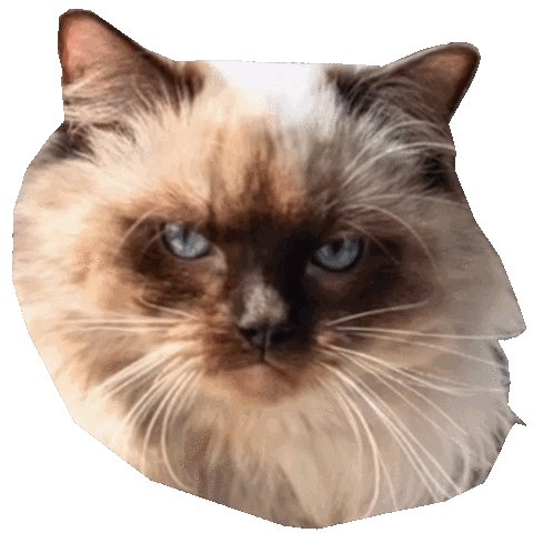 Mood Love Sticker by ogato_design