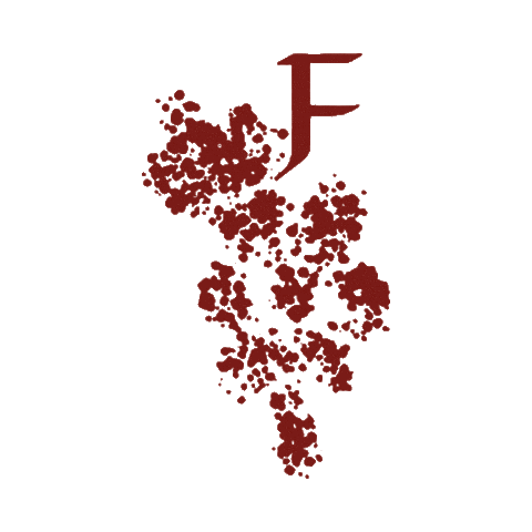 fradé wine Sticker