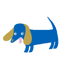 Say It To My Face Dog Sticker For Ios Android Giphy Say It To My Face Dog Sticker For Ios Android Giphy
