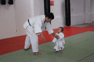 redtigerclub throw martial arts judo parent childen judo GIF
