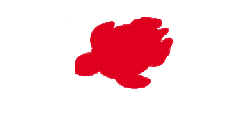 Savetheturtles Shelly Cove Sticker