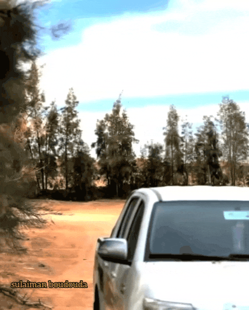 Car GIF