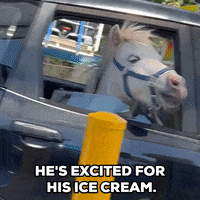 Excited Ice Cream GIF by Storyful