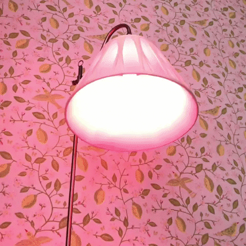 Blink GIF