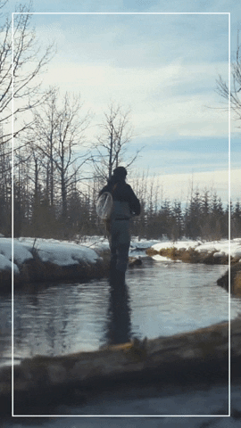 GIF by alberta_conservation