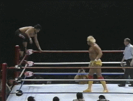Wwe GIF