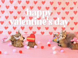 Valentines Day Fox GIF by Stephanie