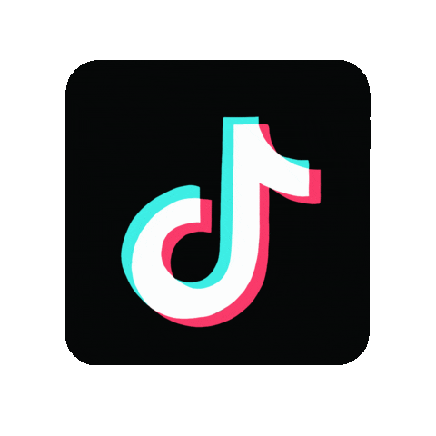 Tiktok-stickers GIFs - Get the best GIF on GIPHY