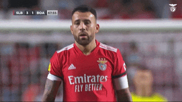 Sl Benfica Shrug GIF by Sport Lisboa e Benfica