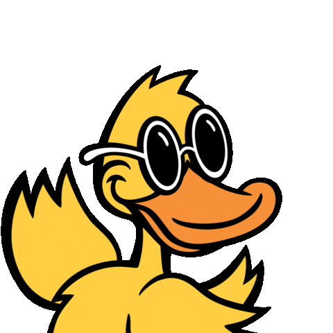 Car Wash Duck Sticker by Quick Quack