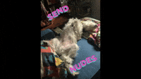 Send Nudes
