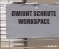 Season 1 Nbc GIF by The Office