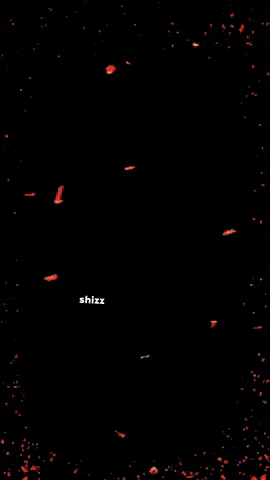 Shizz GIF
