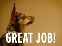 I Love You GIF by Sealed With A GIF