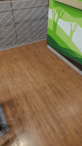 Japan Generate GIF