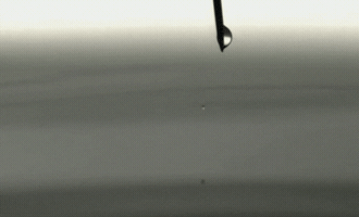 200_s.gif