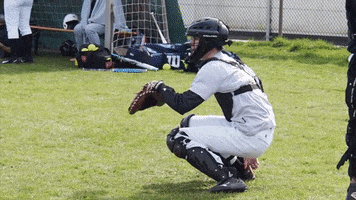 Catching GIF by Black Rickers Baseball Softball Club