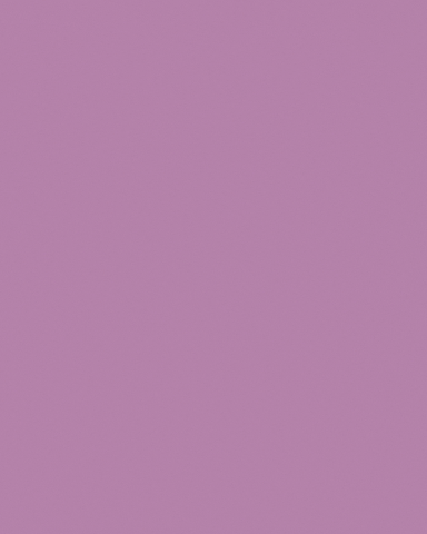 Tarwi GIF