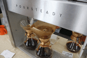 pandascoffee coffee barista coffee shop pour over coffee GIF