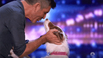 Episode 5 Dog GIF by America's Got Talent