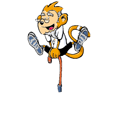 VfL Waiblingen Sticker