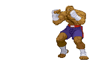 Street Fighter Fighting Sticker