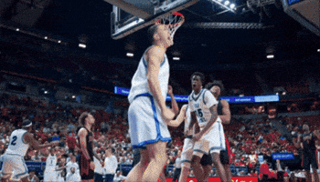 Usubasketball Drakeallen GIF