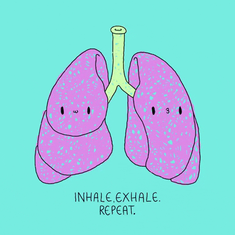 Breathe Mental Health GIF