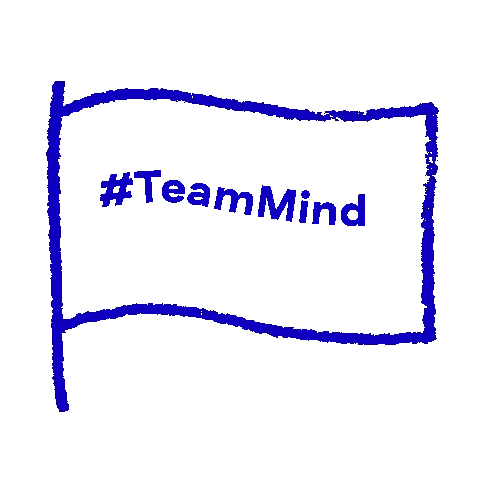 Flag Congratulations Sticker by MindMentalHealthCharity