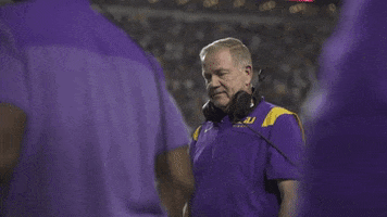 College Football Smh GIF by LSU Tigers