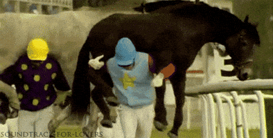 Kramer Horse Race Gifs Get The Best Gif On Giphy